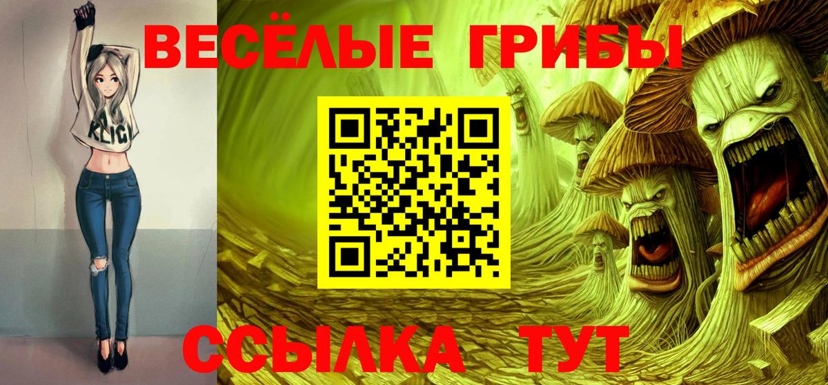 Галлюциногенные грибы Psilocybine cubensis Азов